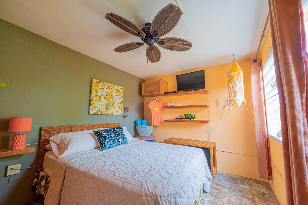Casa De Amistad Guesthouse Vieques Room photo